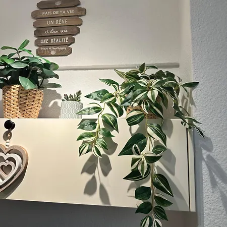 Ξενοδοχείο με διαμερίσματα Studio 2 Personnes Tenerife Sud Costa Adeje (Tenerife)