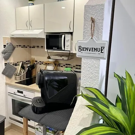 公寓式酒店 Studio 2 Personnes Tenerife Sud 阿德耶
